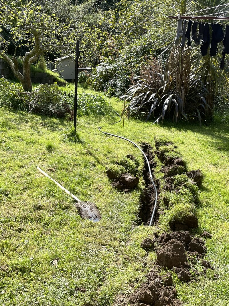 Back yard, black polyethylene pipe being buried under grass